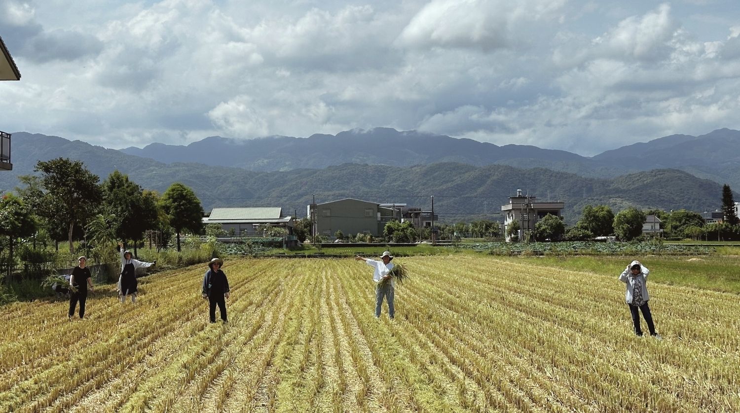 米蛋糕 穀米寶貝